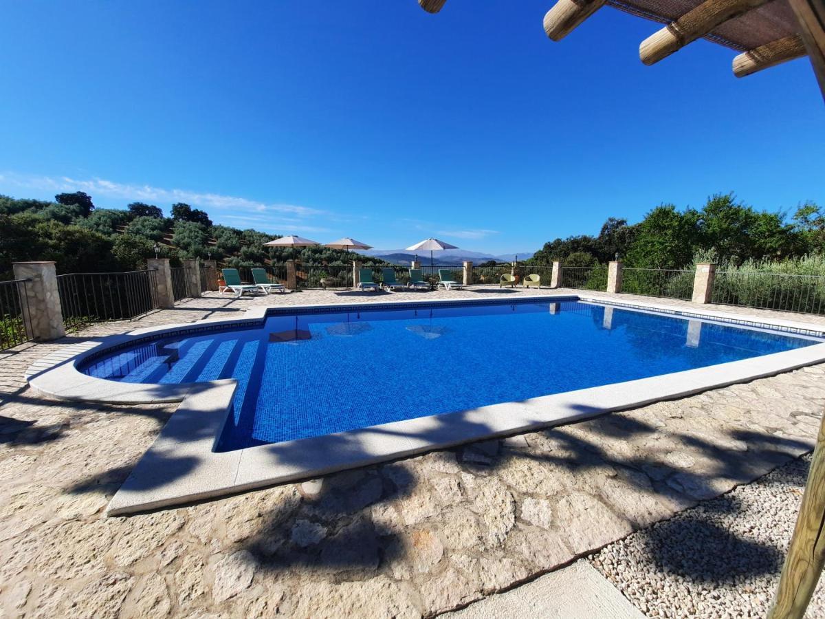 Hacienda La Buena Vida B&B En Appartementen Casita La Bruja Algarinejo ภายนอก รูปภาพ