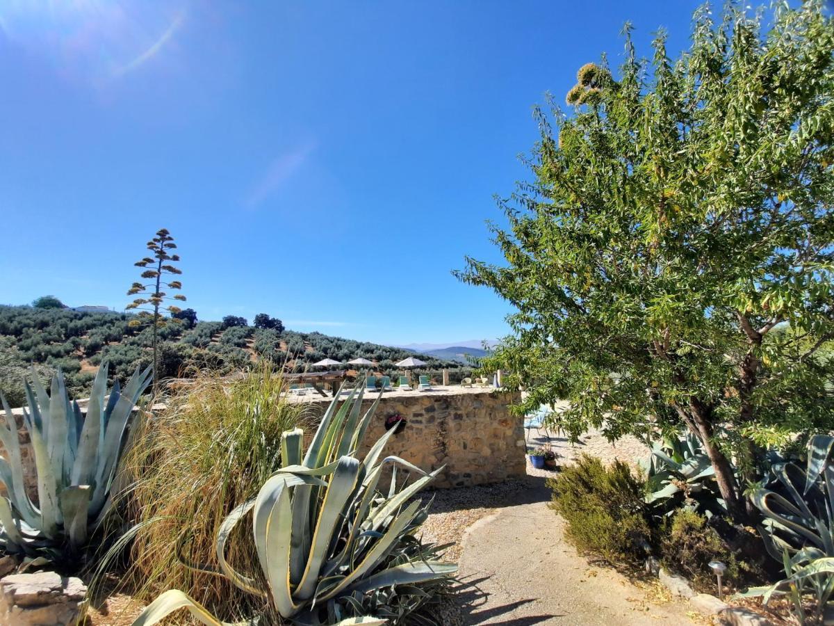 Hacienda La Buena Vida B&B En Appartementen Casita La Bruja Algarinejo ภายนอก รูปภาพ