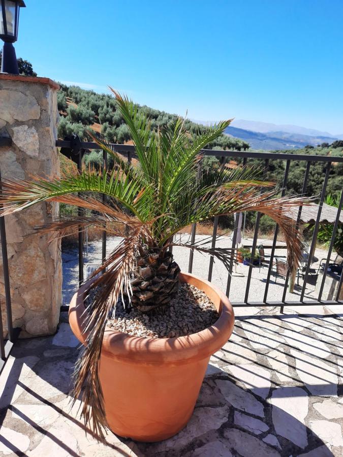 Hacienda La Buena Vida B&B En Appartementen Casita La Bruja Algarinejo ภายนอก รูปภาพ