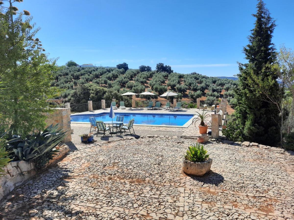 Hacienda La Buena Vida B&B En Appartementen Casita La Bruja Algarinejo ภายนอก รูปภาพ