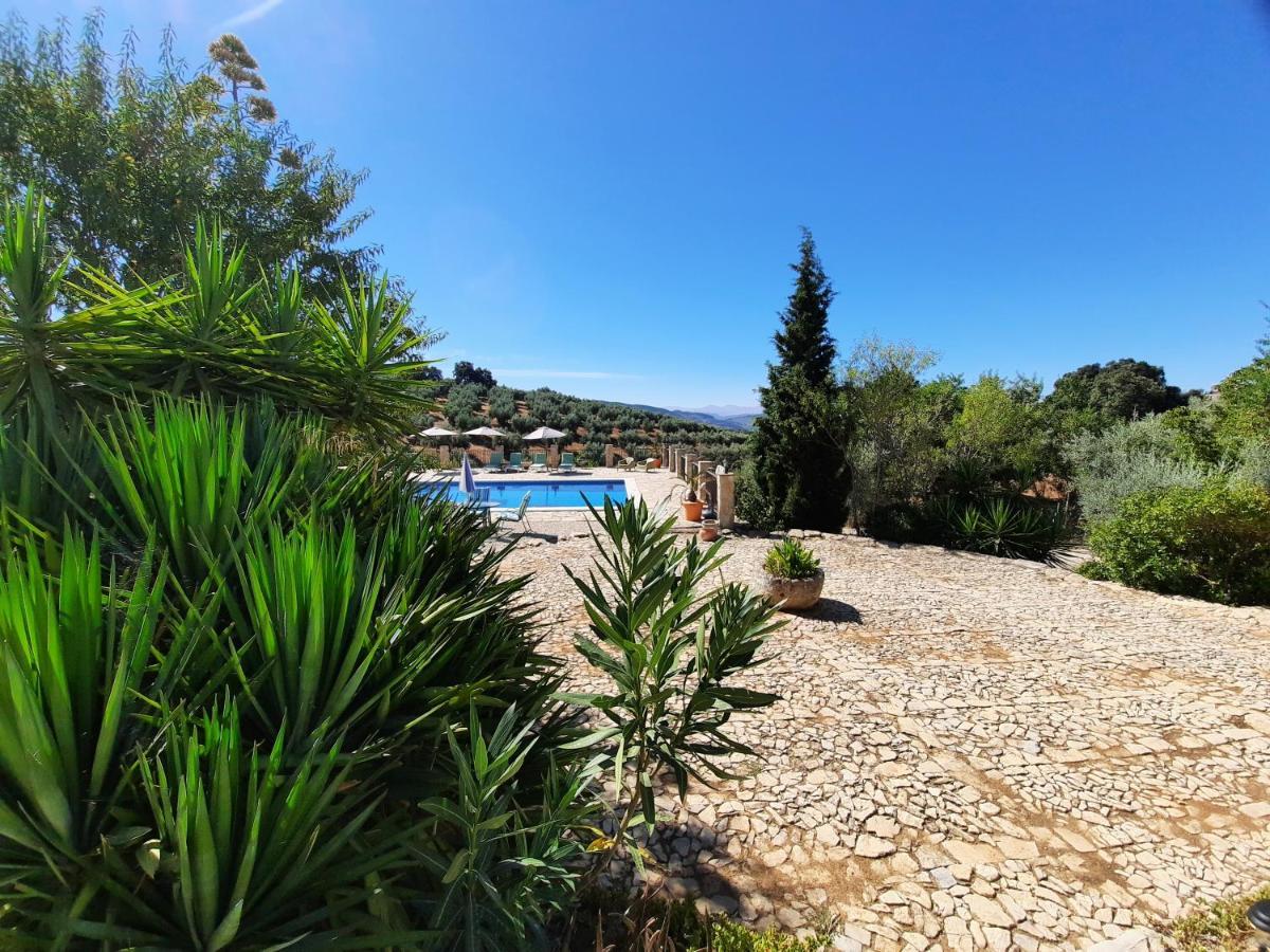 Hacienda La Buena Vida B&B En Appartementen Casita La Bruja Algarinejo ภายนอก รูปภาพ