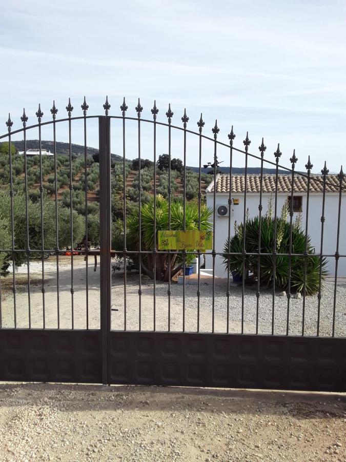 Hacienda La Buena Vida B&B En Appartementen Casita La Bruja Algarinejo ภายนอก รูปภาพ