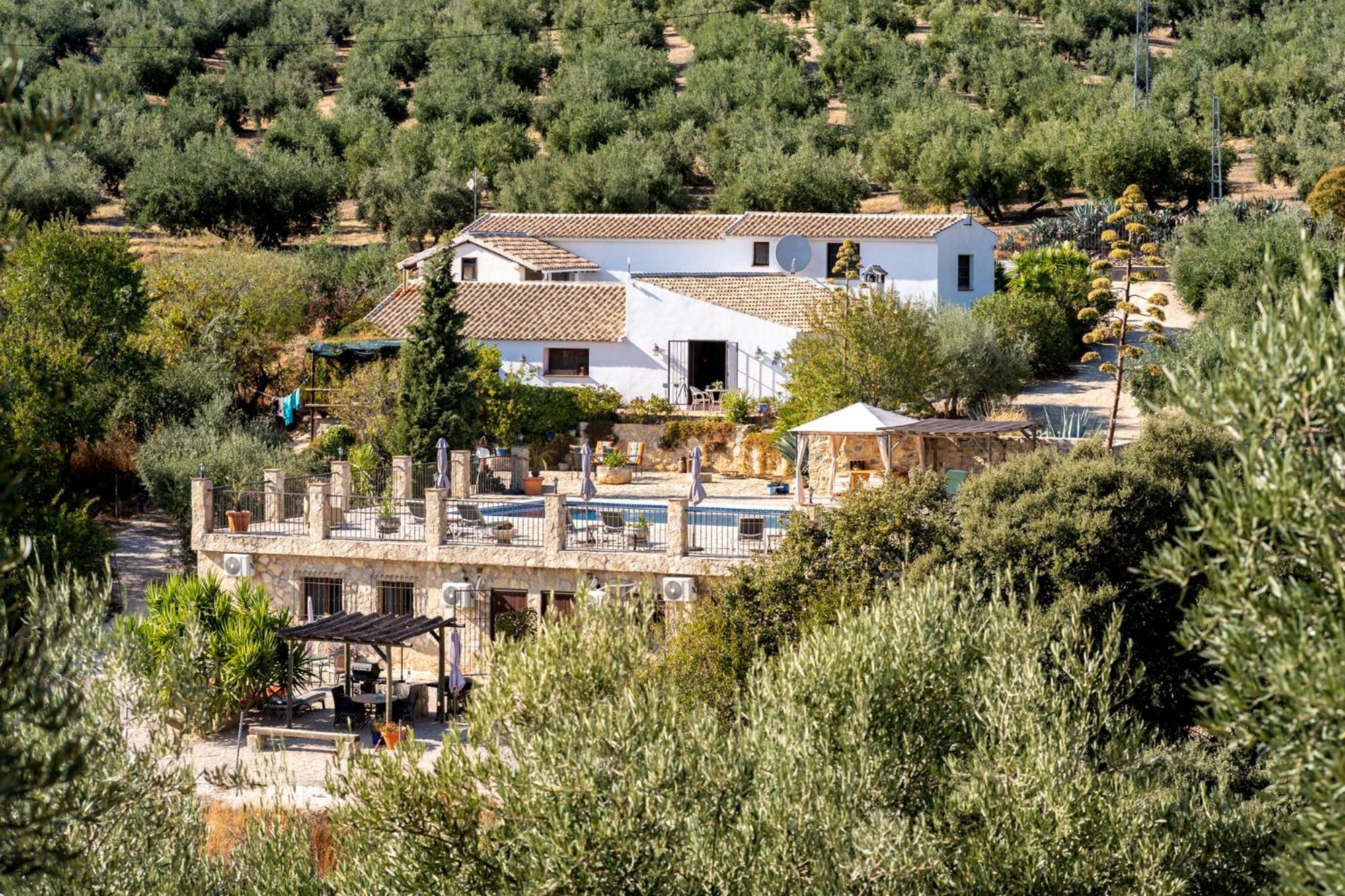 Hacienda La Buena Vida B&B En Appartementen Casita La Bruja Algarinejo ห้อง รูปภาพ